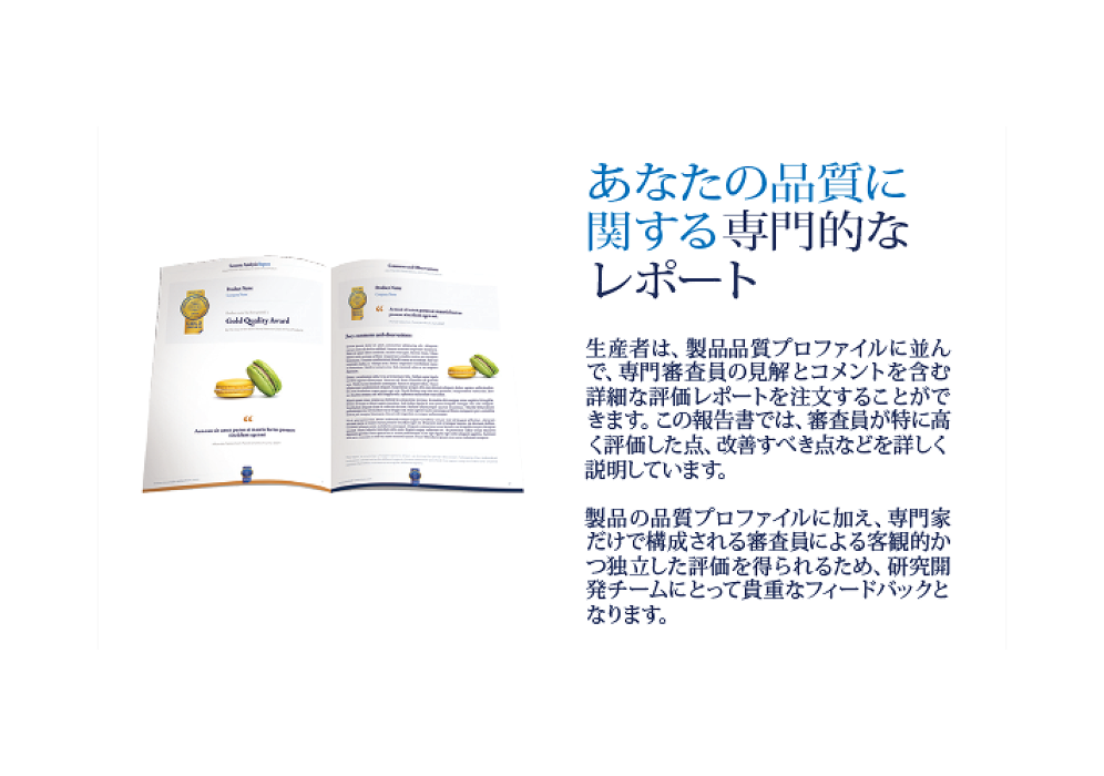 審査レポートの画像